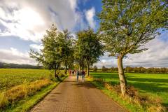 bhCZTTMwandeltocht113-Groot